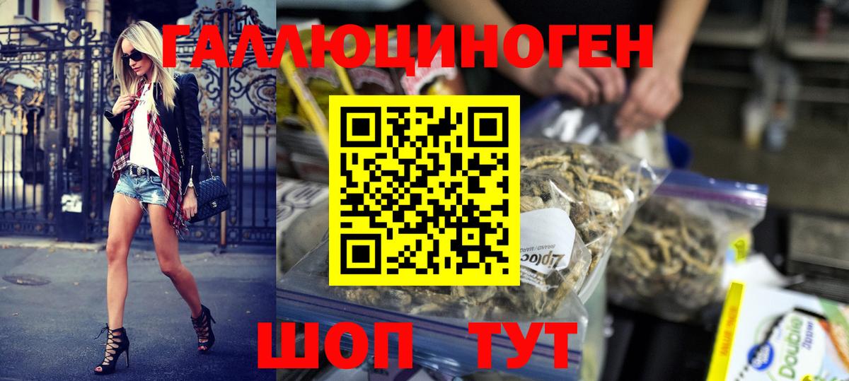 Кудрово  Псилоцибиновые грибы MAGIC MUSHROOMS  Вход с VPN 